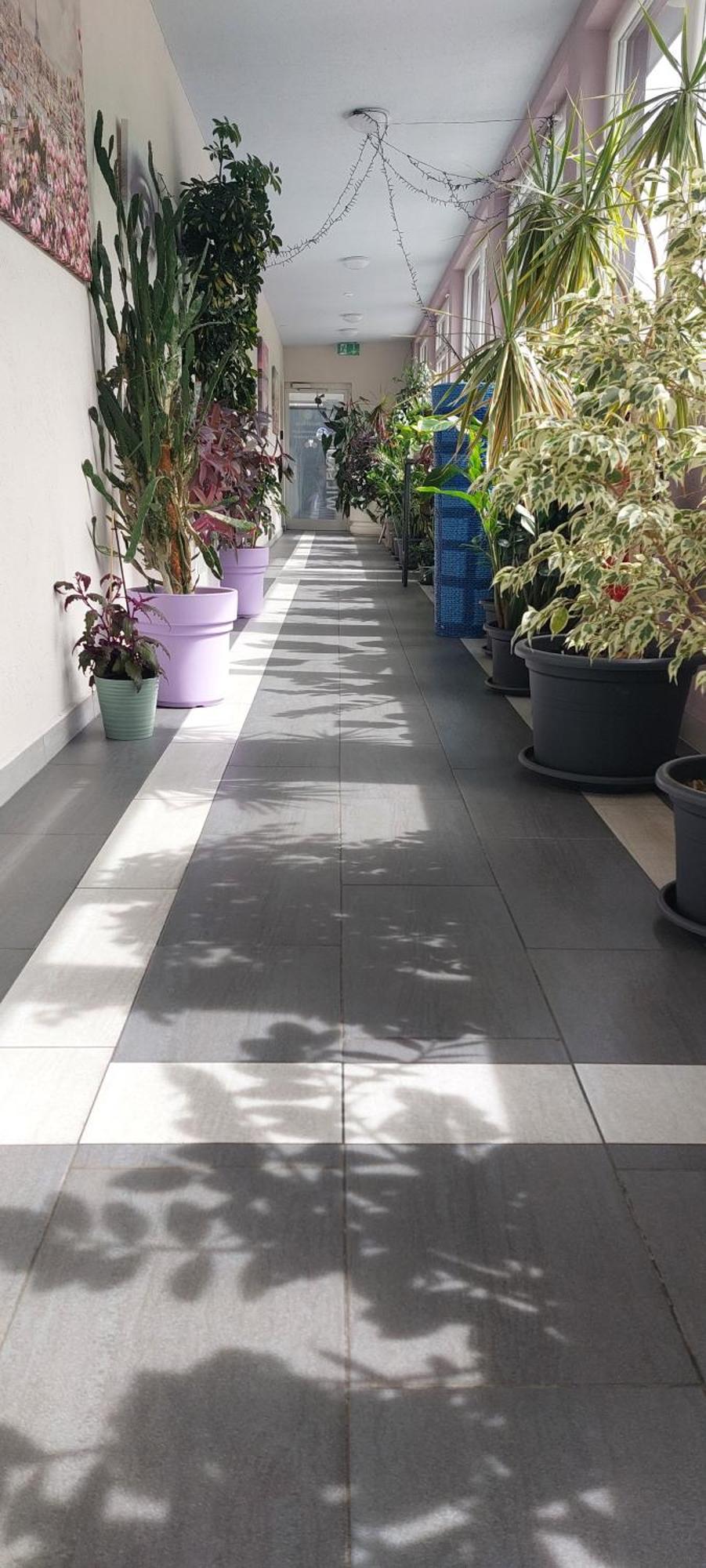 Hotel Belp Bern Airport Free Parking Exterior foto